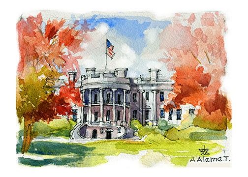 White House 