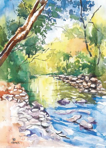 RockCreekPark_Stream.