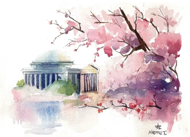 Jefferson Memorial (Cherryblossoms)